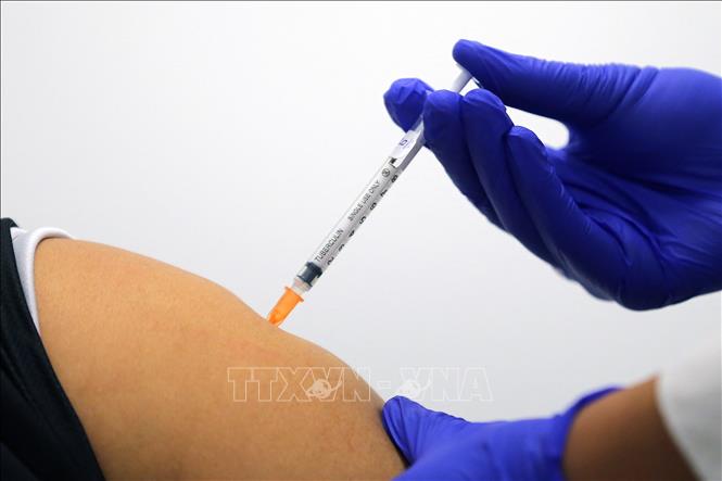 phan phoi vaccine 20521