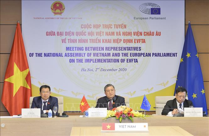 quoc hoi viet nam nghi vien chau au hiep dinh evfta 21220