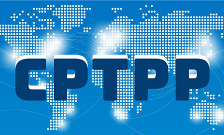 ra mat so tay tim hieu thi truong mua sam cong viet nam qua lang kinh cptpp