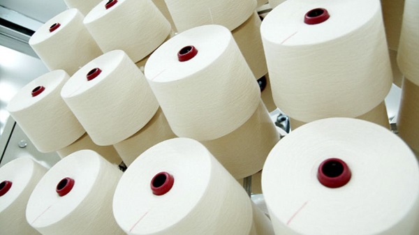 soi polyester viet nam 1604279063