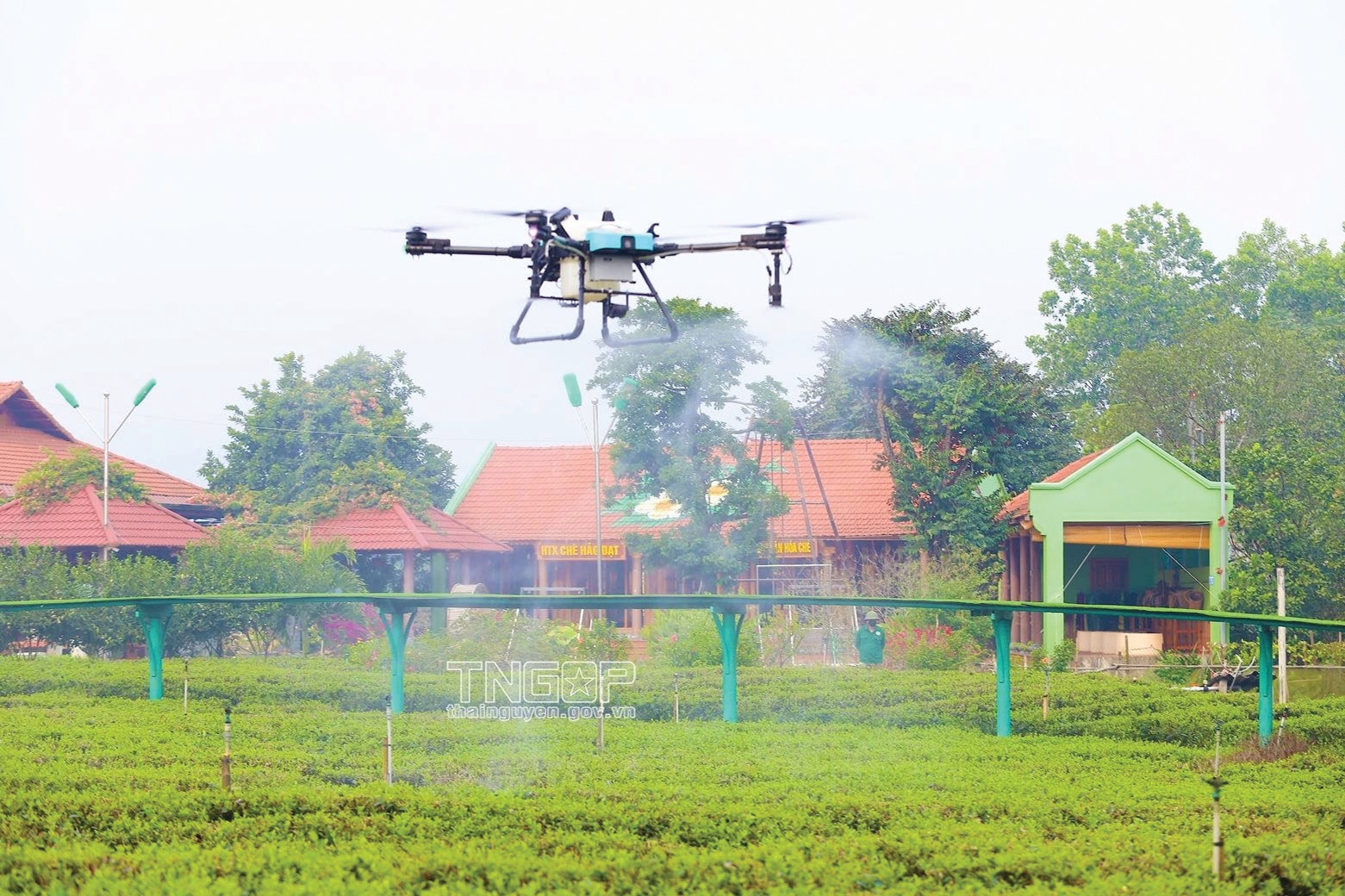 ung dung uav de phun tuoi che tai htx che hao dat thai nguyen