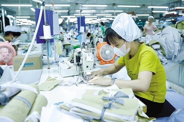 anh 120251103161525