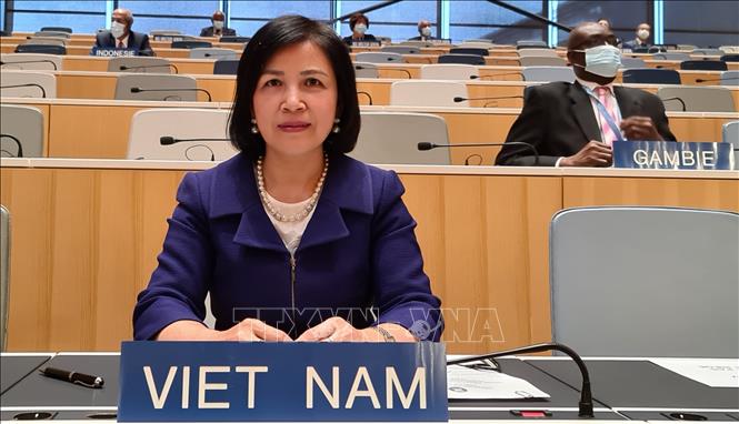 tuyet mai 29112020