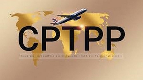 x3317 cptpp.jpgqrt20210127093318.pagespeed.ic.A0FOrC0B3J