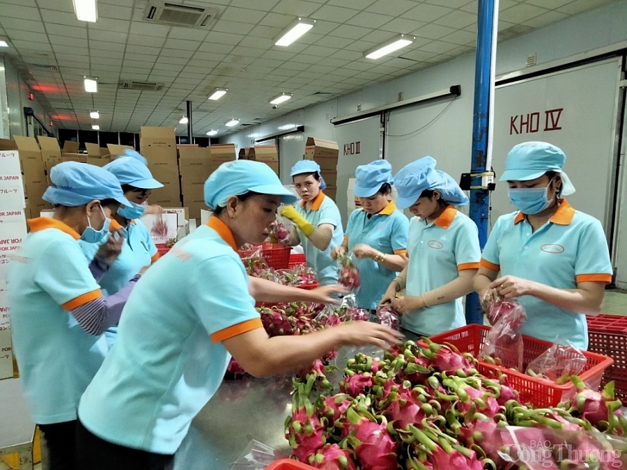 x3635 Buoc di chien luoc de nong san tan dung RCEP.jpgqrt20201221123636.pagespeed.ic.wF79lrE2nq